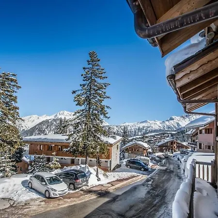 Chalet Ajacour 谷雪维尔